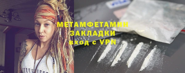 прущие грибы Александровское