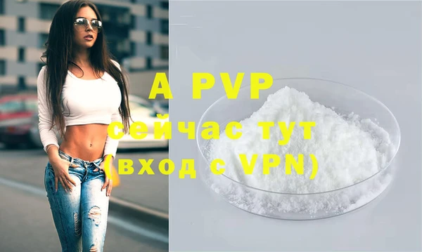 прущие грибы Александровское