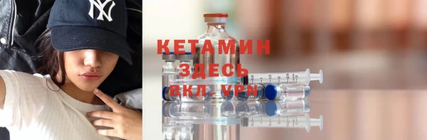 прущие грибы Александровское