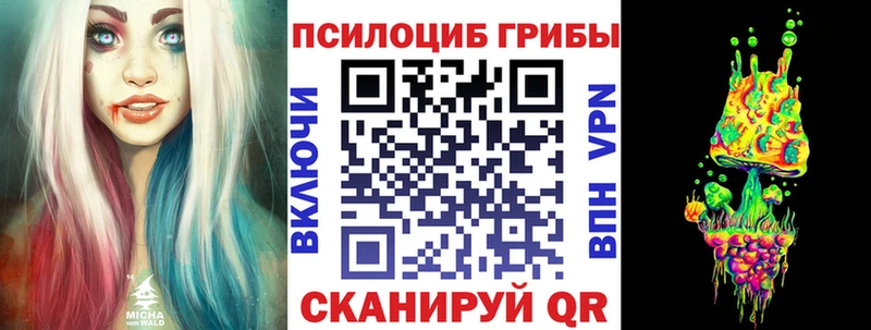 Галлюциногенные грибы Psilocybine cubensis  Купить где  Пионерский 